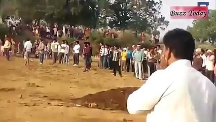 Elephant digs a pit for 11 hours. That's why