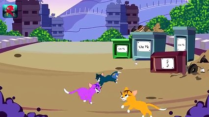 Little Kitty, Litty Kitty Lost & Alone - KITTY Kids Song! :)