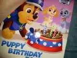 Paw patrol story book chase puppy birthday