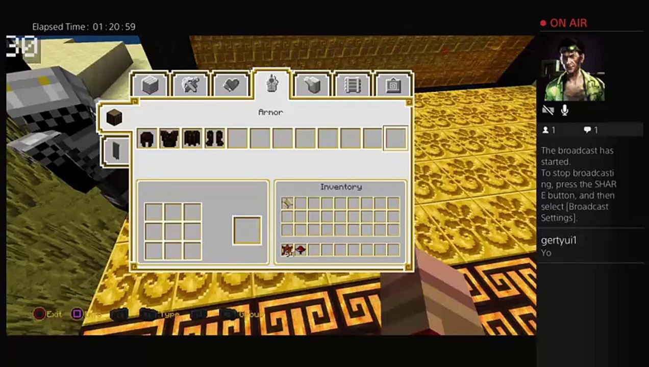 Minecraft (3)