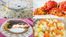 Menü 10 - Yayla Çorbası, Etli Kuru Biber Dolması, Portakallı Kereviz Salatası, Tavuk Göğsü
