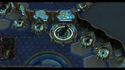Starcraft 2  Heart of the Swarm - Campaign - Brutal - Evolution Mission  Roach Evolution