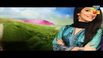 Haya Ke Daman Mein Episode 35 Full Hum TV Drama 17 May 2016
