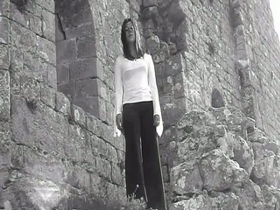 Les souffrances du jeune werther - compressé