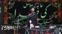 Zakir Afzal Haider Mekan Hafizabad 14 Muharram 1438 ( 2016 ) Choti Behak Hafizabad