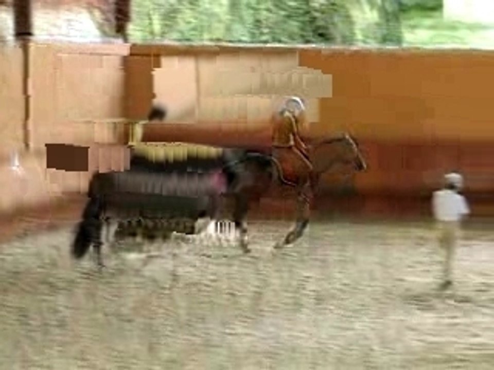 1er Essay sur Kiss ME