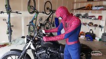 Spiderman vs Black Spiderman Godzilla TRex Motorcycle Thief Real Life Superhero Movie