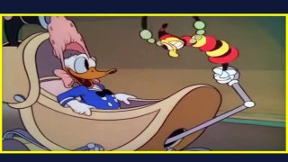 Donald Duck Cartoon Movies for Children | Chip and Dale Donald Duck Full Episodes Disney Movies