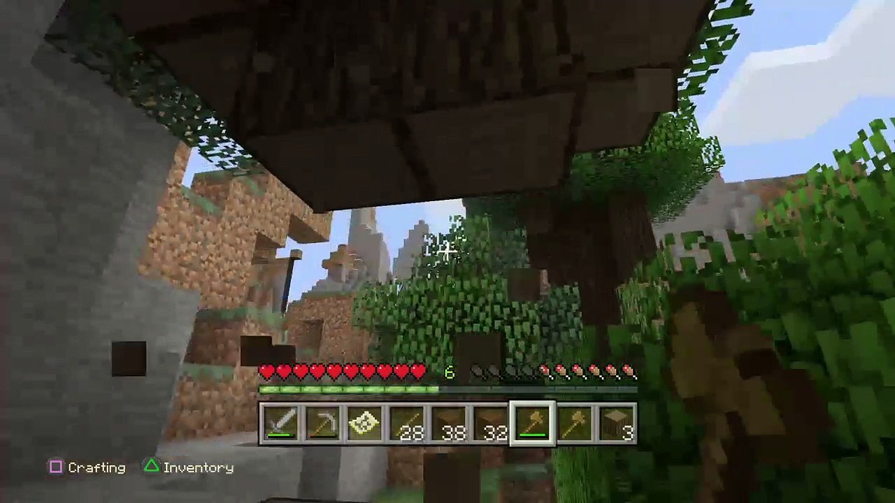 Minecraft (74)