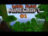 Rawr Plays: Minecraft #1