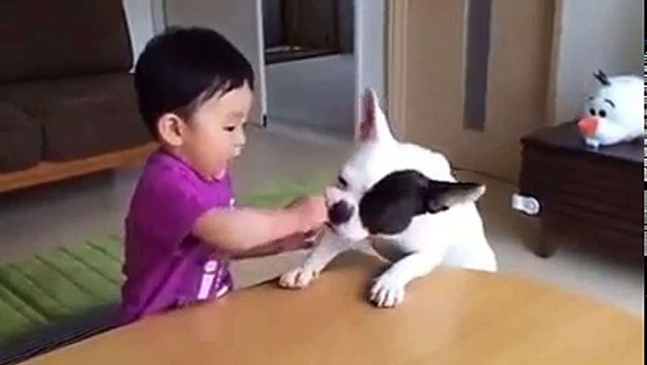 New Fuuny video 2016