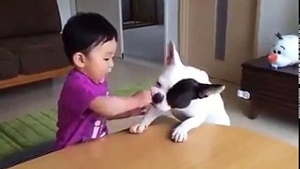 New Fuuny video 2016