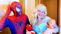 PREGNANT FROZEN ELSA vs SPIDERMAN - SPIDERBABY TWINS w/ Pink Spidergirl Twins Funny Superhero & HULK
