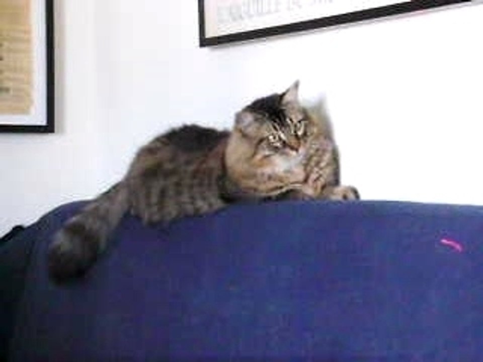 IMGP0148