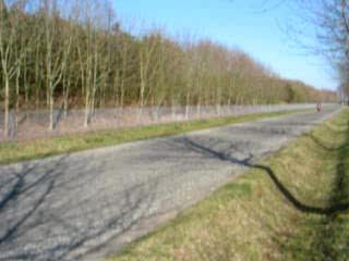 Wheel gsxr ducat 1100xx 12.03.2006 006