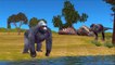 King Kong Vs Dinosaurs Cartoon Short Movie | Dinosaur Vs King Kong Epic Fight Battle