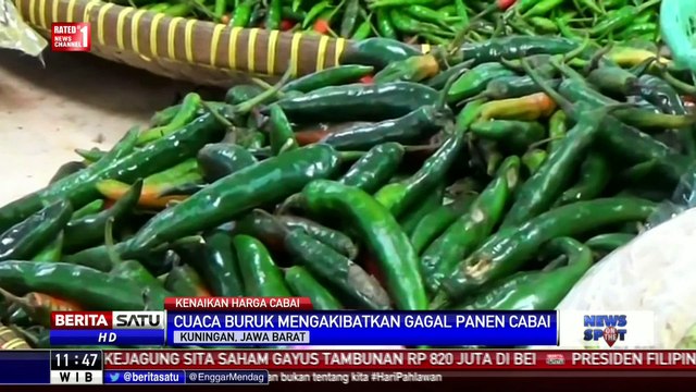 Cuaca Buruk Membuat Harga Cabai Melambung