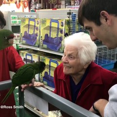 büyükanne evcil hayvan dükkanında