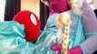 Frozen Elsa DOCTOR Spidergirl Spiderbaby Elsa sick Spiderman Doctor Superheroes in Real Life SHMIRL