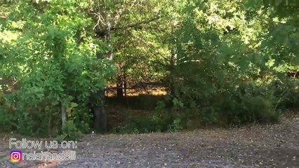 Bad Baby Halloween Prank Gone Wrong part4