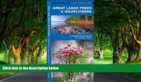 READ NOW  Great Lakes Trees   Wildflowers: A Folding Pocket Guide to Familiar Species (Pocket
