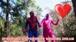 Pink Spidergirl vs Spiderman Valentines Day Spidergirl Spiderman Fun Superhero in Real Life