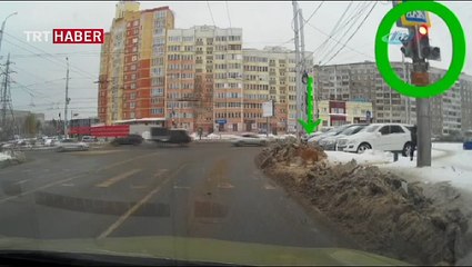 Köpekten trafik dersi!