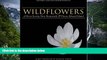 Deals in Books  Wildflowers of Nova Scotia, New Brunswick   Prince Edward Island: Revised and