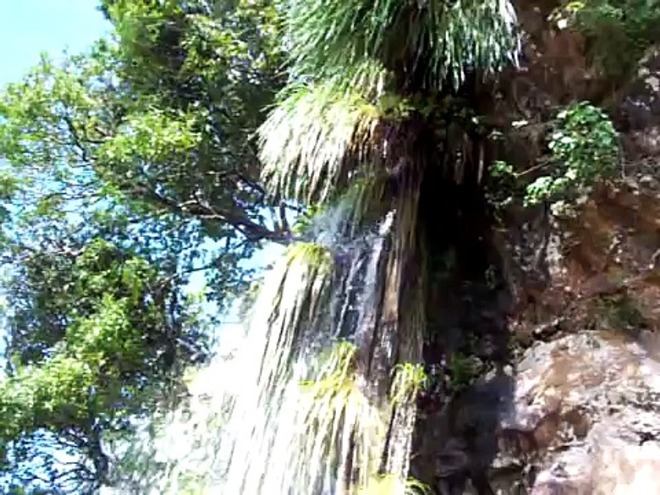 homestay home stay  in chikmagalur Karnataka india , www.pepperbuds.com homestay home stay  in chikmagalur Malnad western ghats hill station Mudigere Chickmagalur Karnataka india www.pepperbuds.com Nice home Stay Malnad Mudigere Chickmagalur Karnataka ind