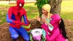 Spiderman Frozen Elsa & Pink Spidergirl: Rainbow Cotton Candy Changes color Superheroes IRL