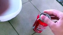 Cosa accade se mettiamo un uovo nella Coca Cola per un anno? Il risultato è irreale!