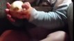 Cet enfant de 1 an mange u oignon comme si c'etait une pomme...