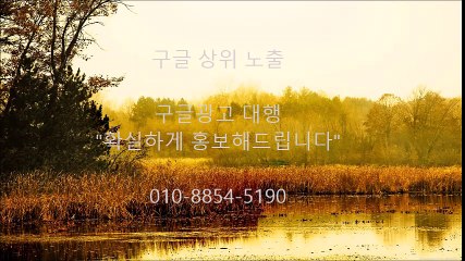 *광고대행 {구글} ┕구글≠상위노출 홍보확실
