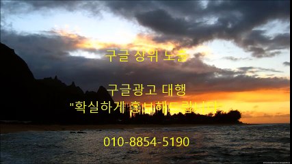 ## 구,글 ├┤광고 대행 010-8854-5190