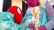 Frozen Elsa DOCTOR Spidergirl Spiderbaby Elsa sick Spiderman Doctor Superheroes in Real Life SHMIRL
