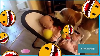 10 BabySitter Mama Dogs With Babies - YouTube