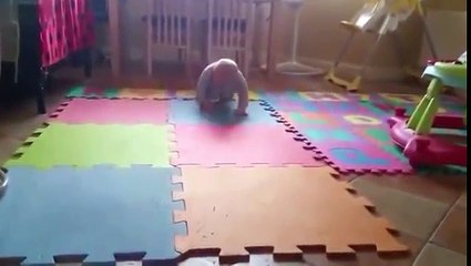Babies Laughing and Playing with Dogs - YouTube