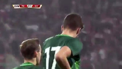 Miha Mevlja Goal - Poland vs Slovenia 0-1 Friendly Match 14-11-2016 (HD)