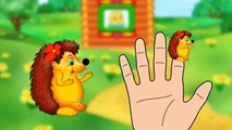 Finger Family Hedgehog Finger Family Finger Family Songs Finger Family Parody