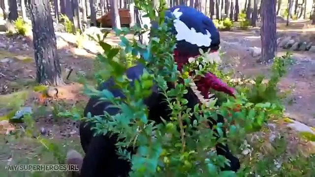 New Spiderman vs Venom in Real Life Frozen Elsa saves Kidnapped Spiderman Superheroes Fun Movie