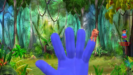 Finger Family Rhymes for Children Lion Cartoons | Tiger Finger Family Children Nursery Rhymes