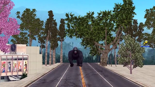 Spiderman Vs King kong Cartoon Finger Family Songs | Hulk Vs King Kong Children Nursery Rhymes