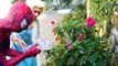 Spiderman Poisoned Vs Joker! w/ Frozen Elsa, Elsa Freezes Joker - Funny Superheroes Video