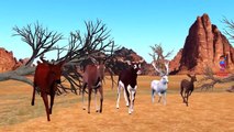 Finger Family Deer Animal Nursery Rhymes for Children | 3D Animation Animals Cartoons for Kids