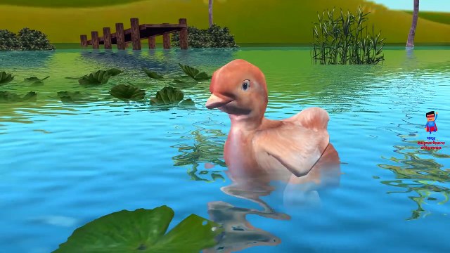 3D Rooster Duck Birds Finger Family Song | Eagle Penguin Ostrich Finger Family Nursery Rhyme