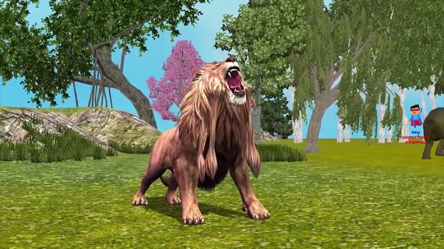 Lion Tiger And Elephant Cartoons Singing Finger Family Songs And Children Nursery Rhymes