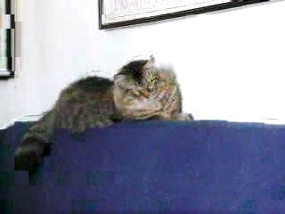 IMGP0149