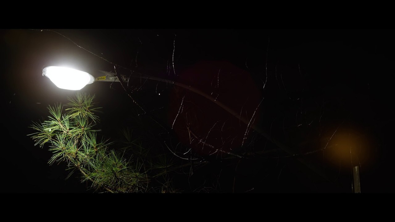 Canavar - The Monster (2016) Fragman
