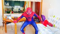FROZEN ELSA vs MOUSE vs SPIDERMAN! w/ Blue Doctor Spider-Man and Pink Spidergirl Funny Movie in Real