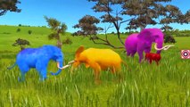 Colours Dinosaur Movies For Kids | Jurassic Park Giant Dinosaurs | Dinosaurs Fighting Short Movie